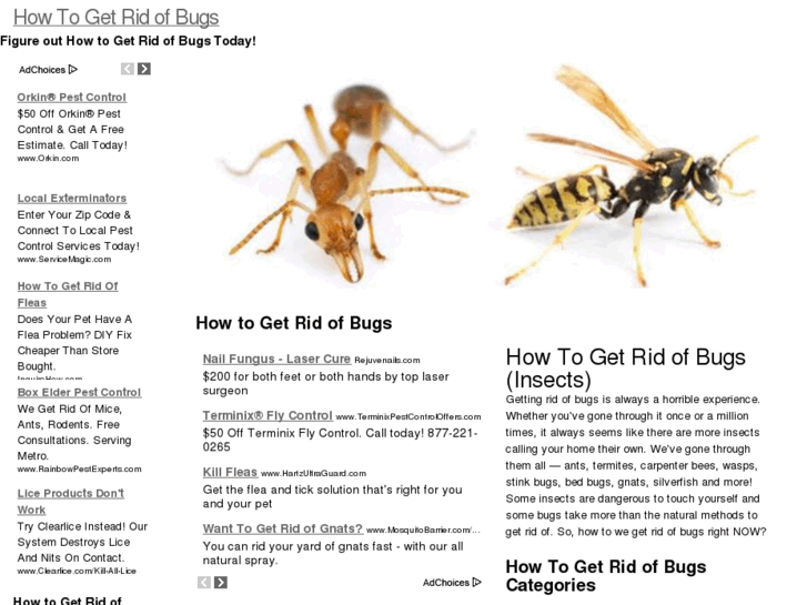 www.howtogetridofbugsinfo.com