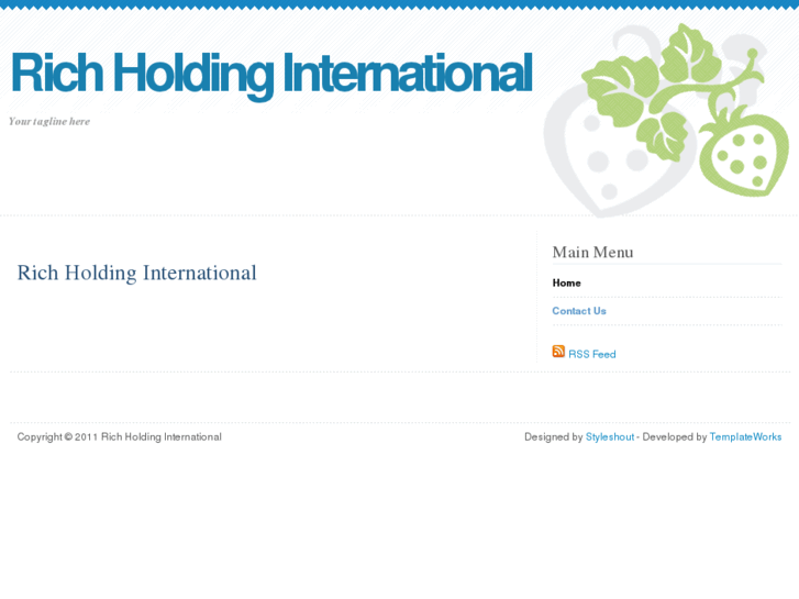 www.richholding.com