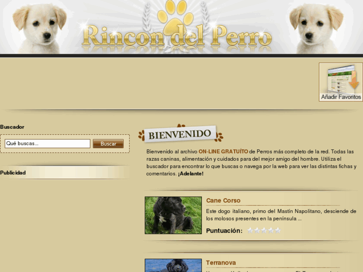 www.rincondelperro.com