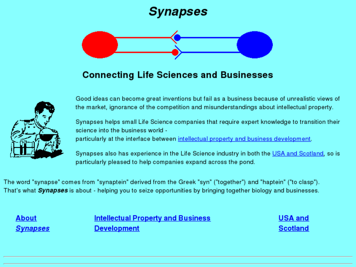 www.synapses.co.uk