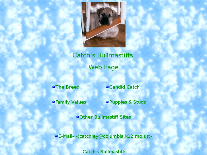 www.catchsbullmastiffs.com