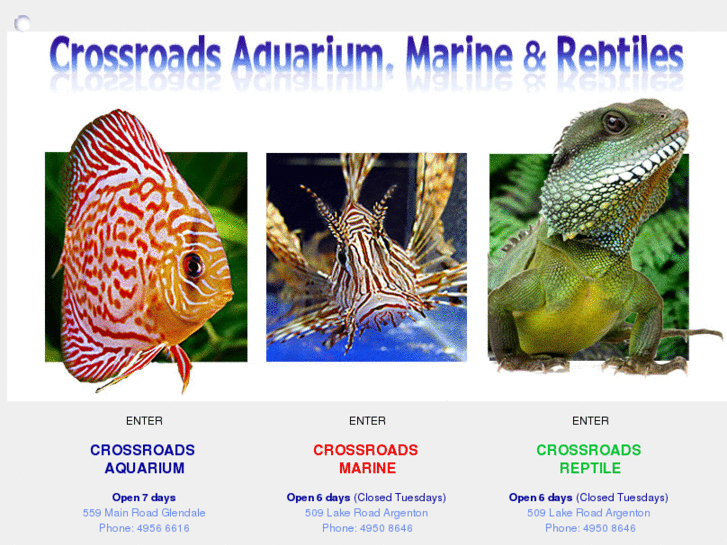 www.crossroadsaquarium.com.au