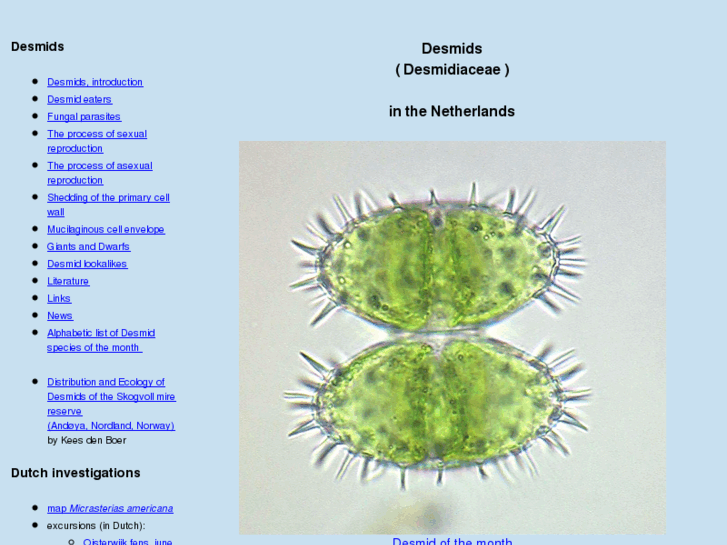 www.desmids.nl