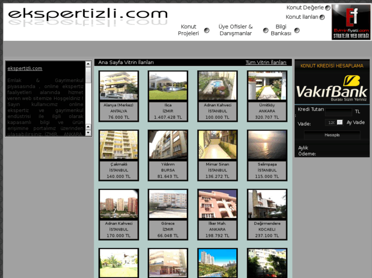 www.ekspertizli.com