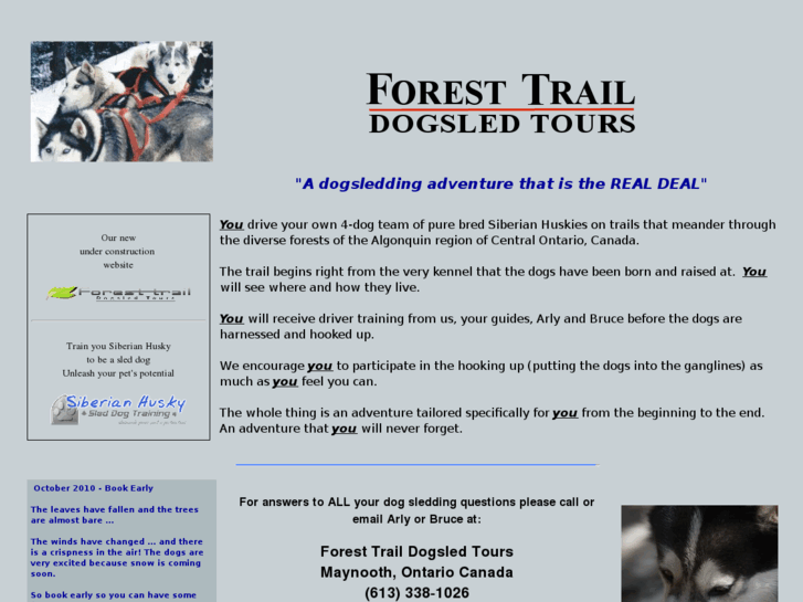 www.foresttraildogs.com