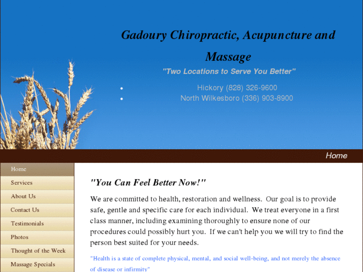 www.gadourychiropractic.com