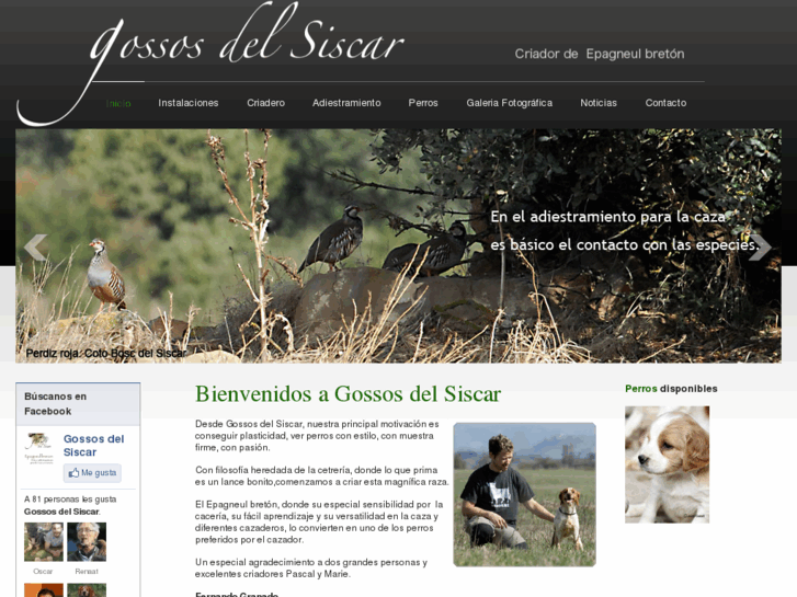 www.gossosdelsiscar.com