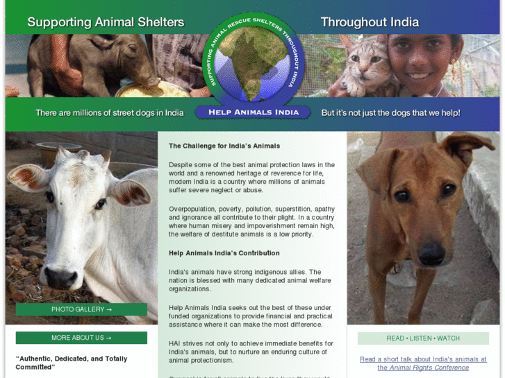 www.helpanimalsindia.com