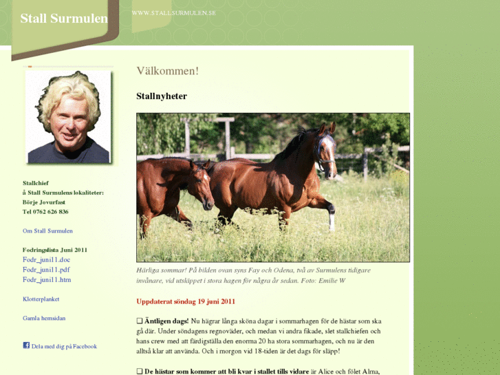 www.stallsurmulen.se