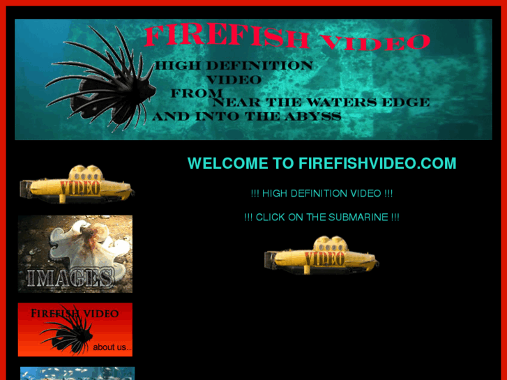 www.firefishvideo.com