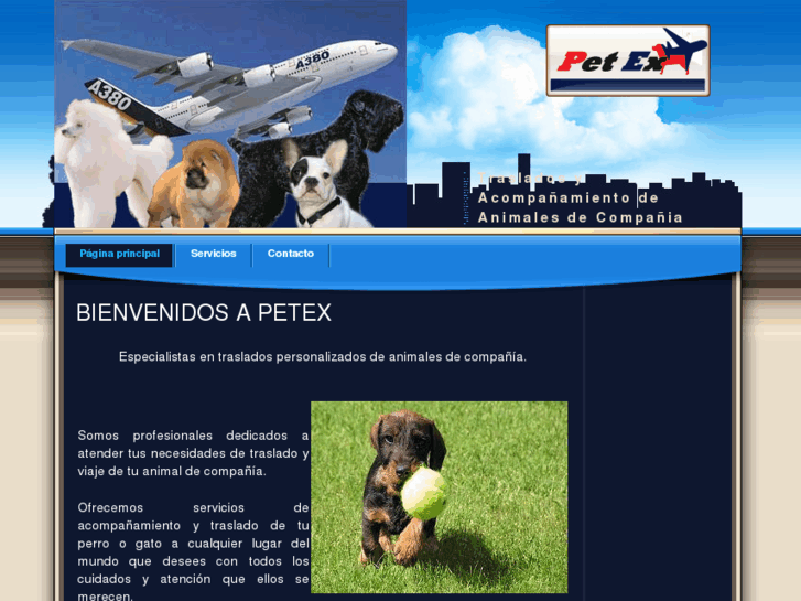 www.petex.es