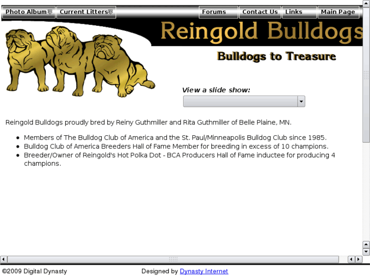 www.reingoldbulldogs.com