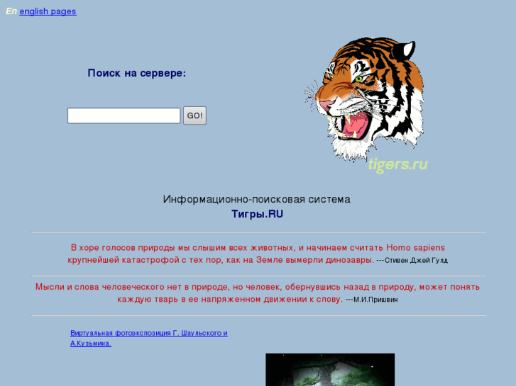 www.tigers.ru