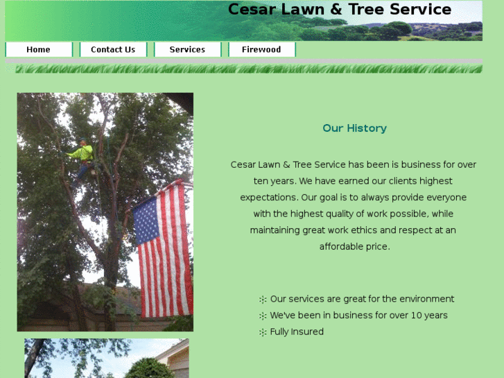 www.cesartreeservice.com