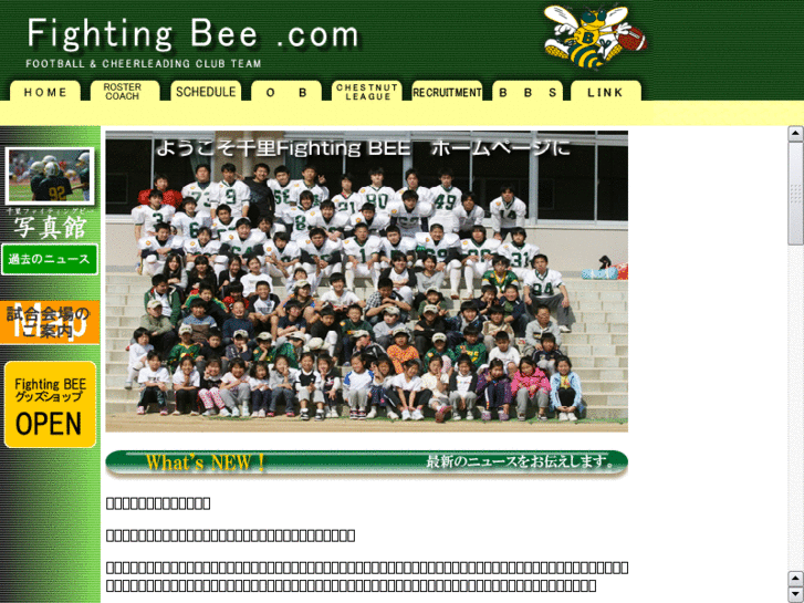 www.fighting-bee.com