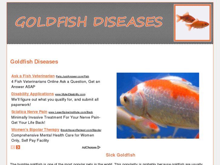 www.goldfishstuff.com