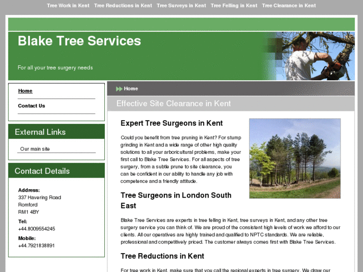 www.kenttreesurgeons.com