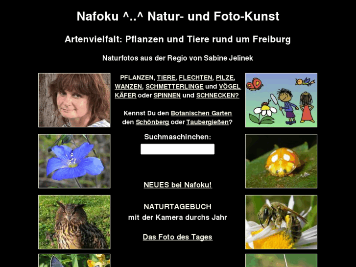 www.nafoku.de