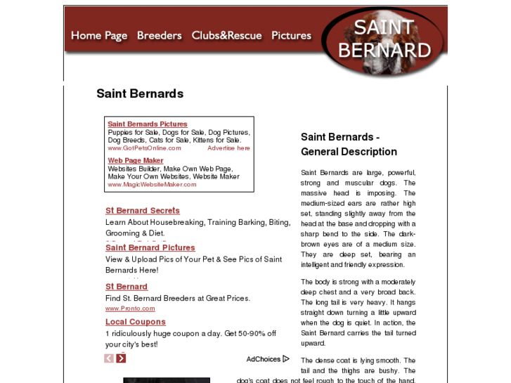 www.saint-bernard-dogs.com