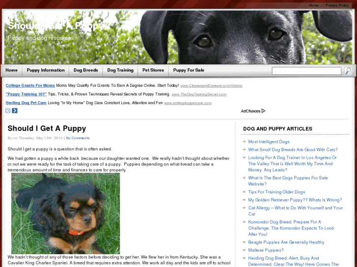 www.shouldigetapuppy.com