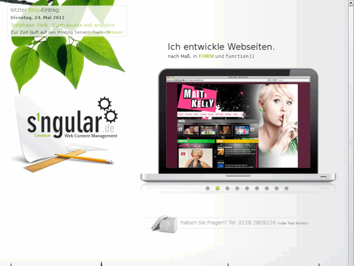 www.singular.de