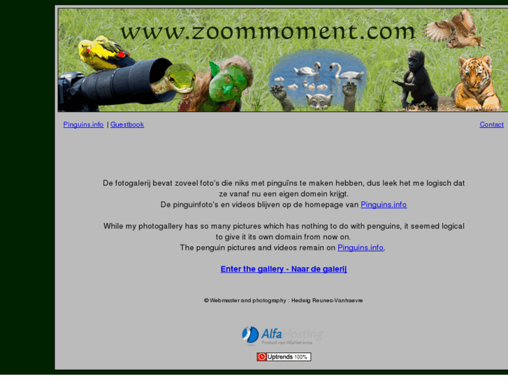 www.zoommoment.com