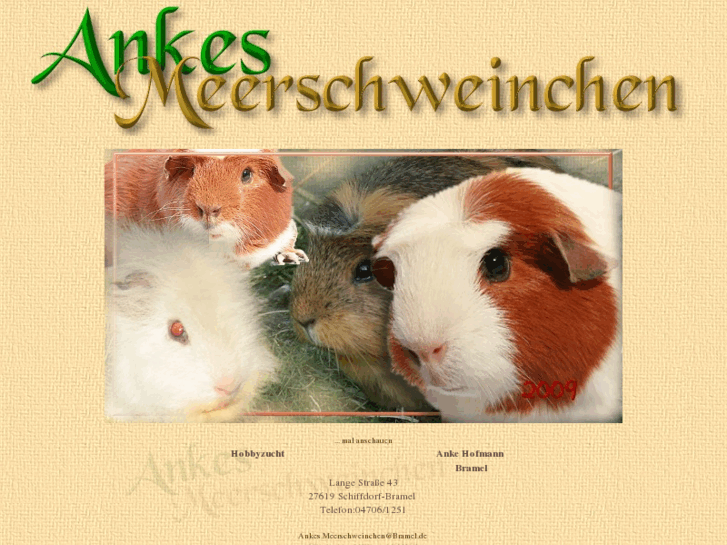 www.ankesmeerschweinchen.de