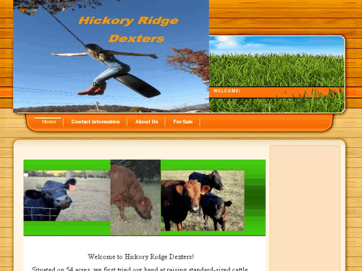 www.hickoryridgedexters.com