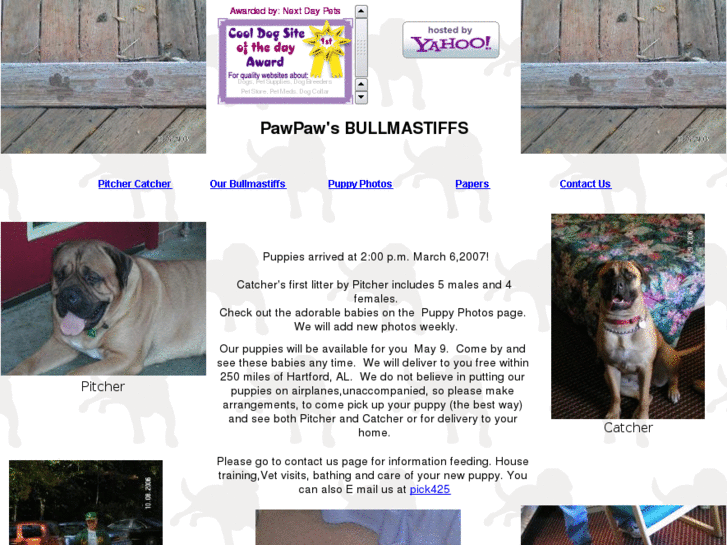 www.pawpawsbullmastiffs.com