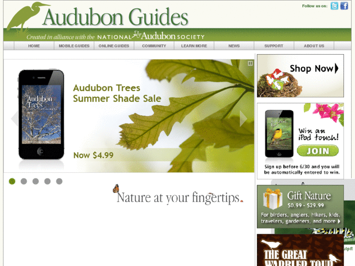 www.audubon-guides.com