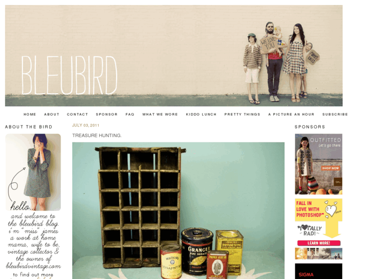 www.bleubirdblog.com