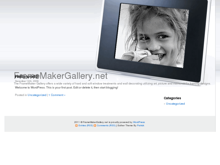 www.framemakergallery.net