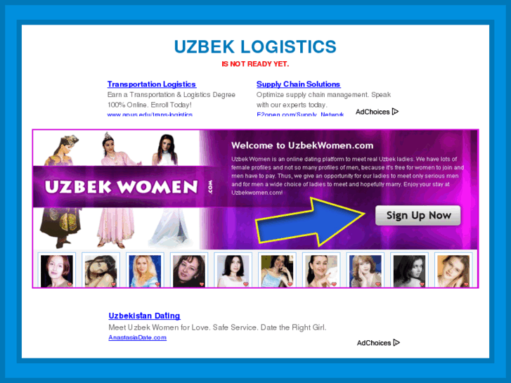 www.uzbeklogistics.com