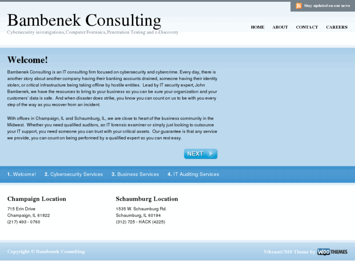 www.bambenekconsulting.com