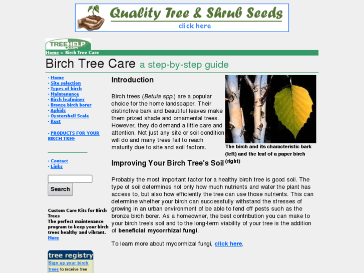 www.birch-tree.com