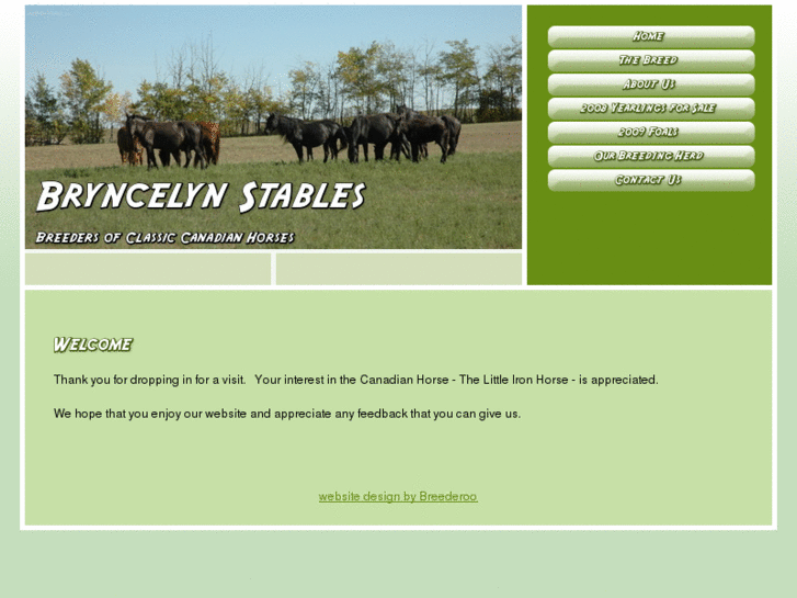 www.bryncelynstables.com