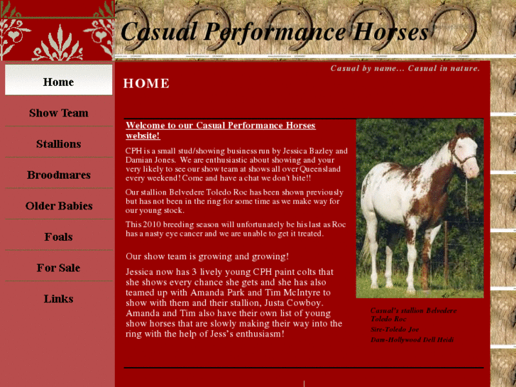 www.casualperformancehorses.com