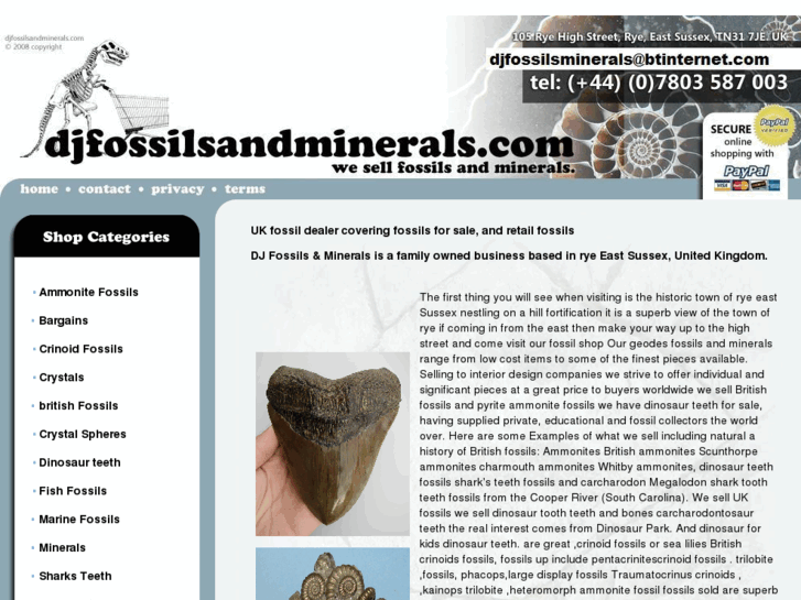 www.djfossilsandminerals.com