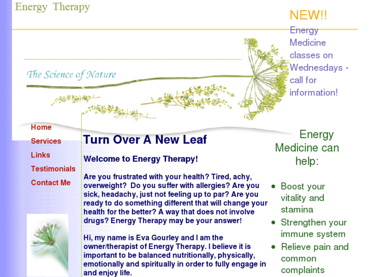 www.energytherapyforyou.com