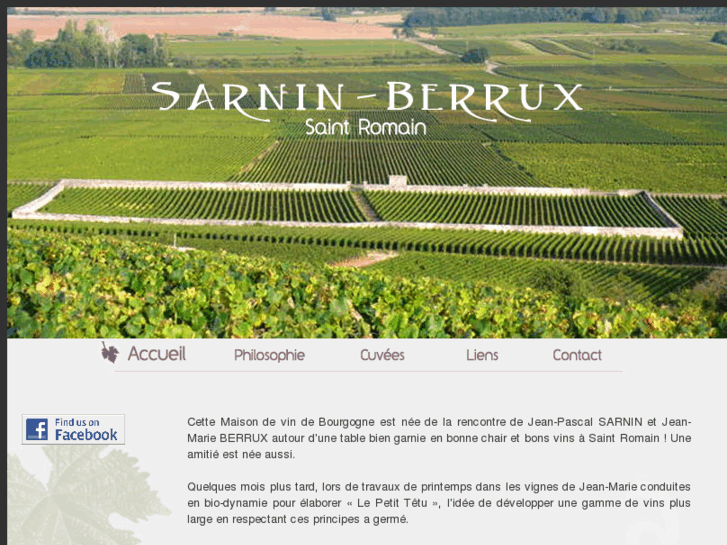 www.sarnin-berrux.com