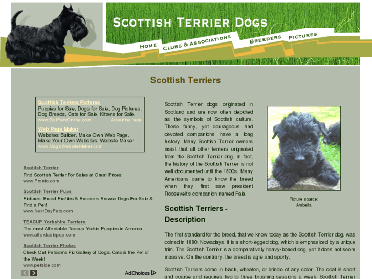 www.scottish-terrier-dogs.com