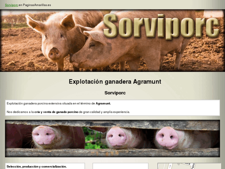 www.sorviporc.com