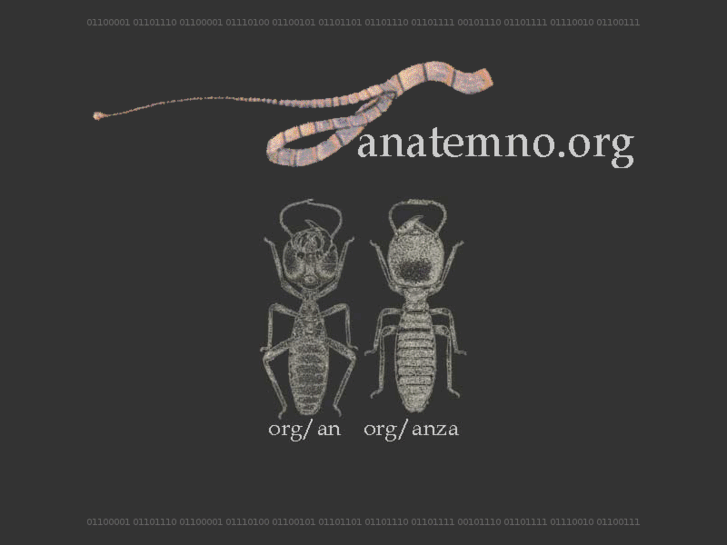 www.anatemno.org