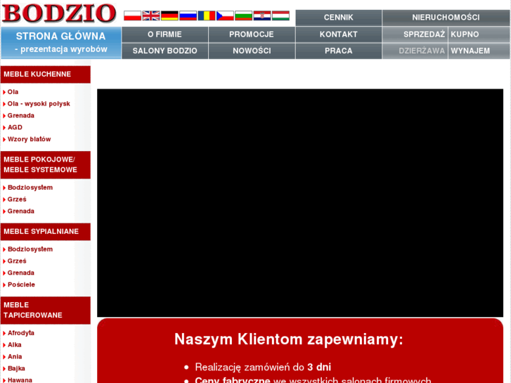 www.bodzio.pl