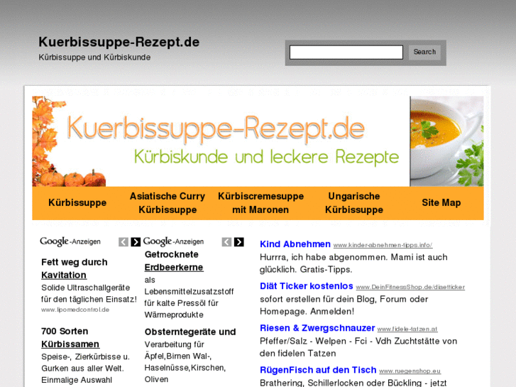 www.kuerbissuppe-rezept.de