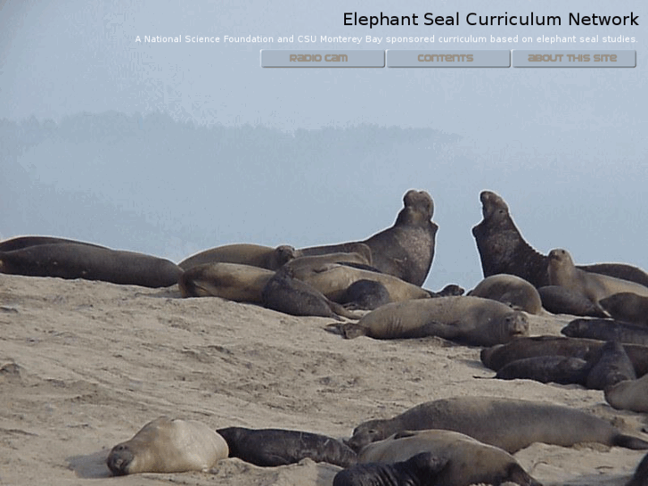 www.elephantseal.net