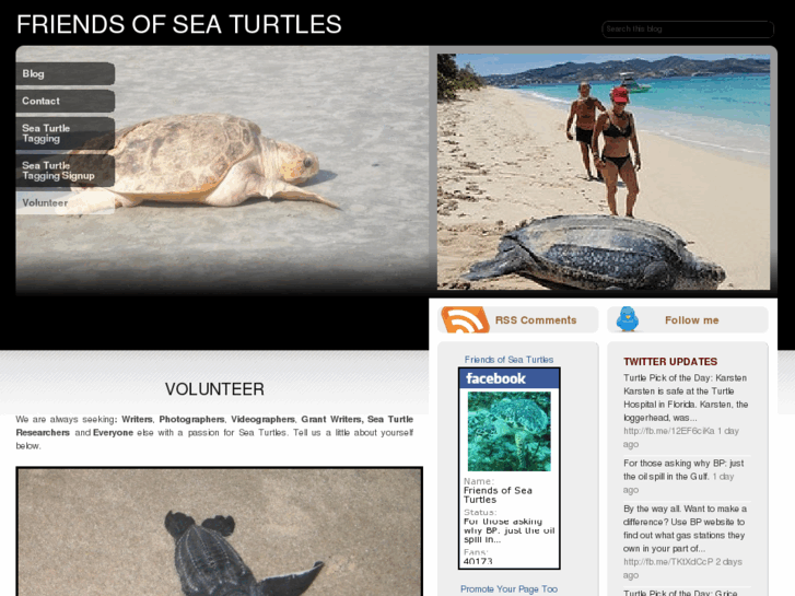 www.friendsofseaturtles.com