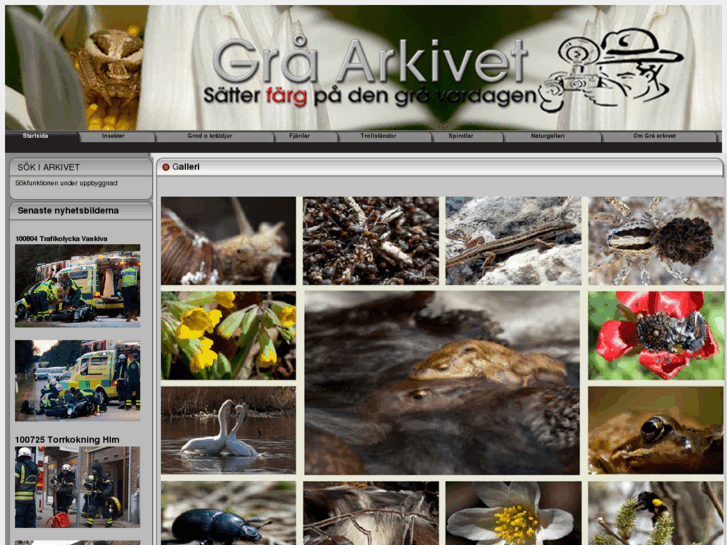 www.graarkivet.se