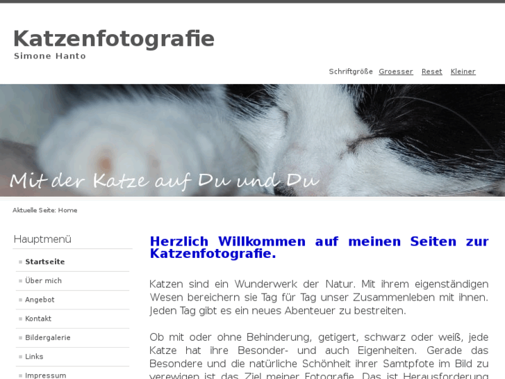 www.katzenfoto-hanto.de