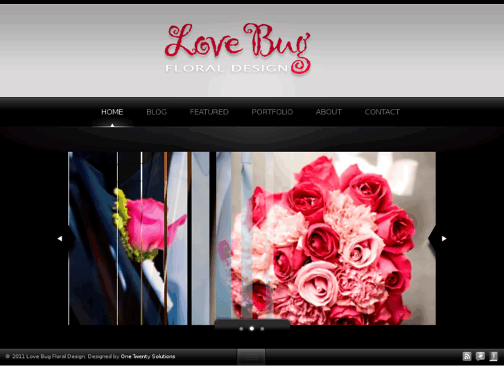 www.lovebugfd.com